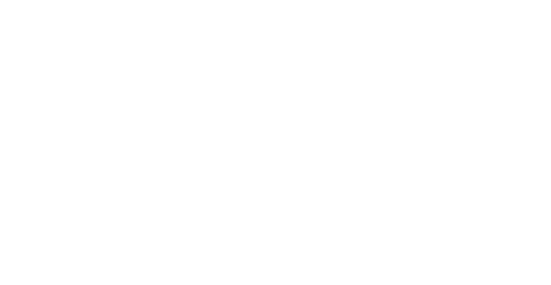 logo VIKTOR & ROLF